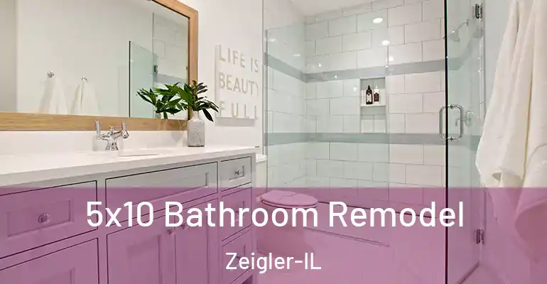 inner Bathroom imggen 5x10 Bathroom Remodel Zeigler-IL