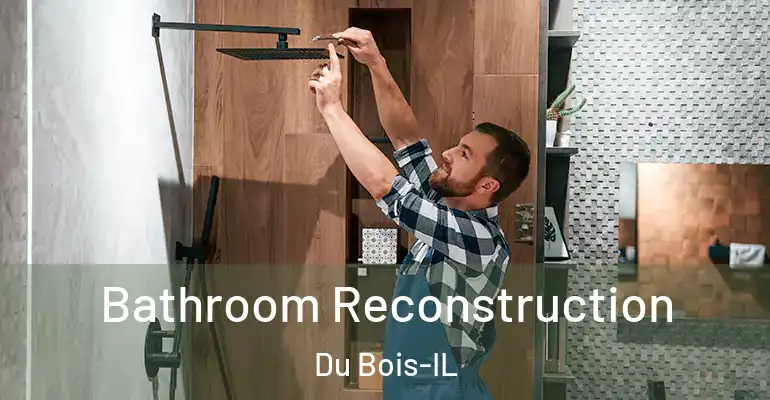 inner Bathroom imggen Bathroom Reconstruction Du Bois-IL