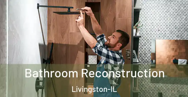 inner Bathroom imggen Bathroom Reconstruction Livingston-IL