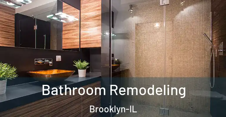 inner Bathroom imggen Bathroom Remodeling Brooklyn-IL