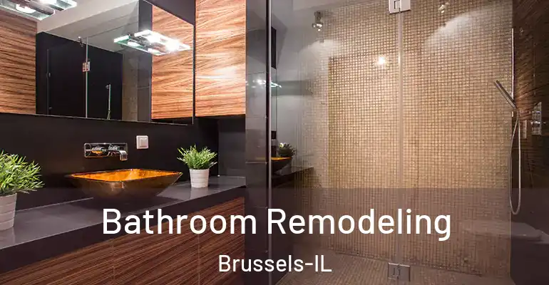 inner Bathroom imggen Bathroom Remodeling Brussels-IL