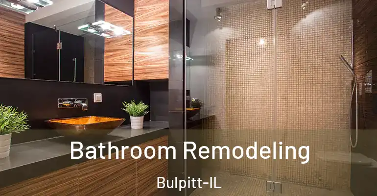 inner Bathroom imggen Bathroom Remodeling Bulpitt-IL