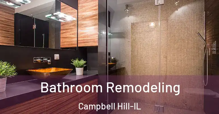 inner Bathroom imggen Bathroom Remodeling Campbell Hill-IL