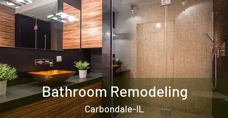 inner Bathroom imggen Bathroom Remodeling Carbondale-IL