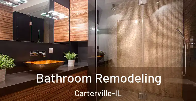 inner Bathroom imggen Bathroom Remodeling Carterville-IL