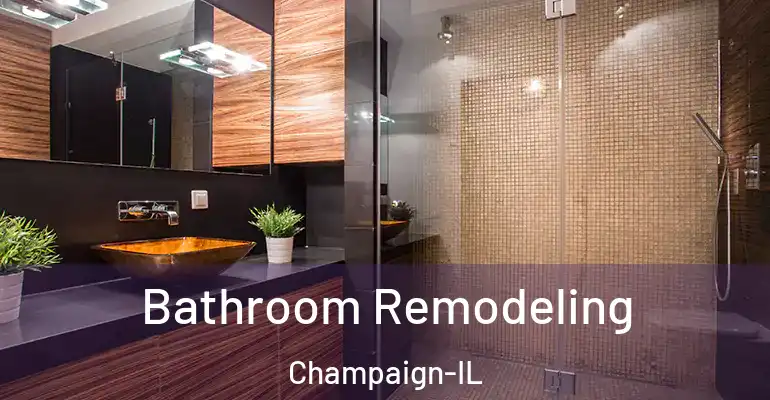 inner Bathroom imggen Bathroom Remodeling Champaign-IL