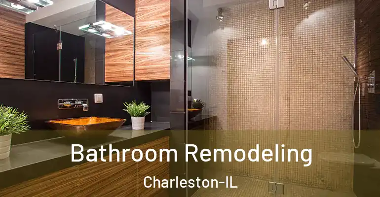 inner Bathroom imggen Bathroom Remodeling Charleston-IL