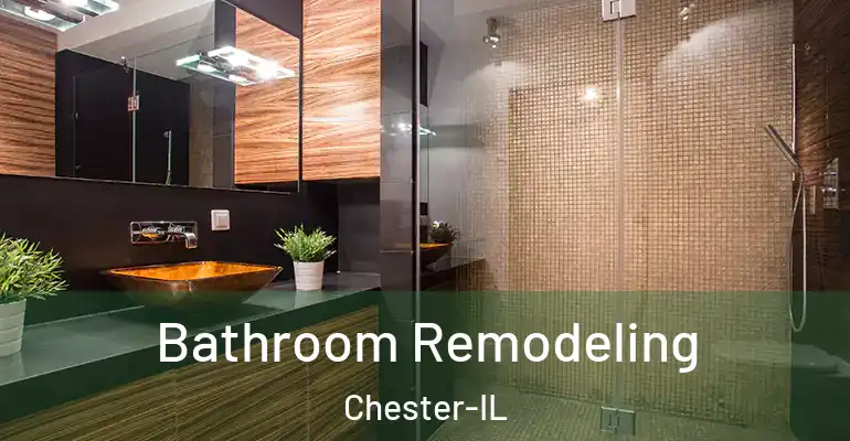 inner Bathroom imggen Bathroom Remodeling Chester-IL