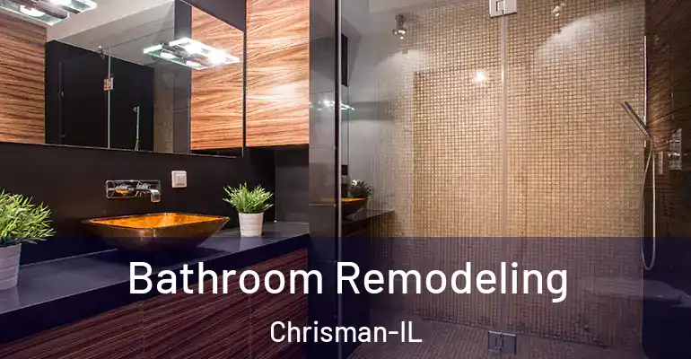 inner Bathroom imggen Bathroom Remodeling Chrisman-IL