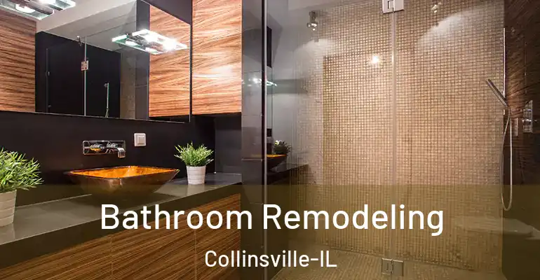 inner Bathroom imggen Bathroom Remodeling Collinsville-IL