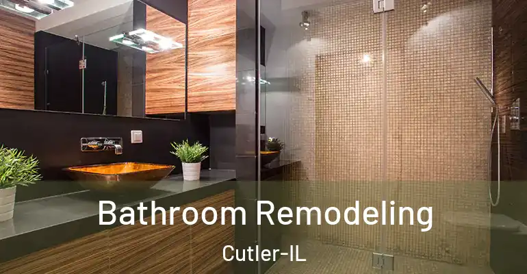 inner Bathroom imggen Bathroom Remodeling Cutler-IL