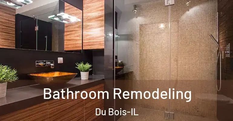 inner Bathroom imggen Bathroom Remodeling Du Bois-IL