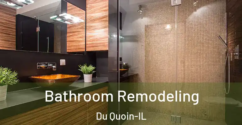 inner Bathroom imggen Bathroom Remodeling Du Quoin-IL