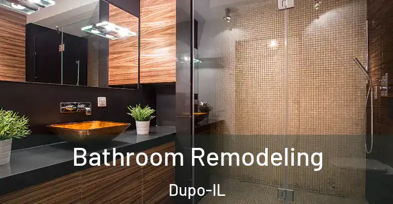 inner Bathroom imggen Bathroom Remodeling Dupo-IL