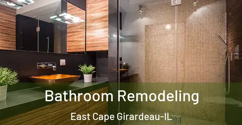 inner Bathroom imggen Bathroom Remodeling East Cape Girardeau-IL