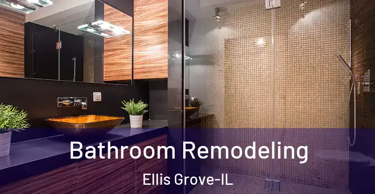 inner Bathroom imggen Bathroom Remodeling Ellis Grove-IL