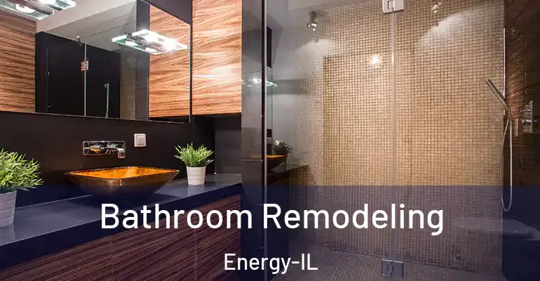 inner Bathroom imggen Bathroom Remodeling Energy-IL