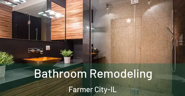 inner Bathroom imggen Bathroom Remodeling Farmer City-IL