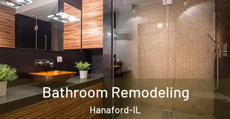 inner Bathroom imggen Bathroom Remodeling Hanaford-IL