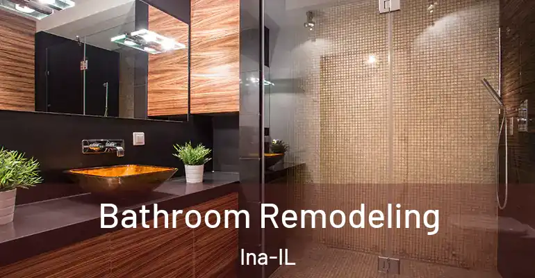 inner Bathroom imggen Bathroom Remodeling Ina-IL