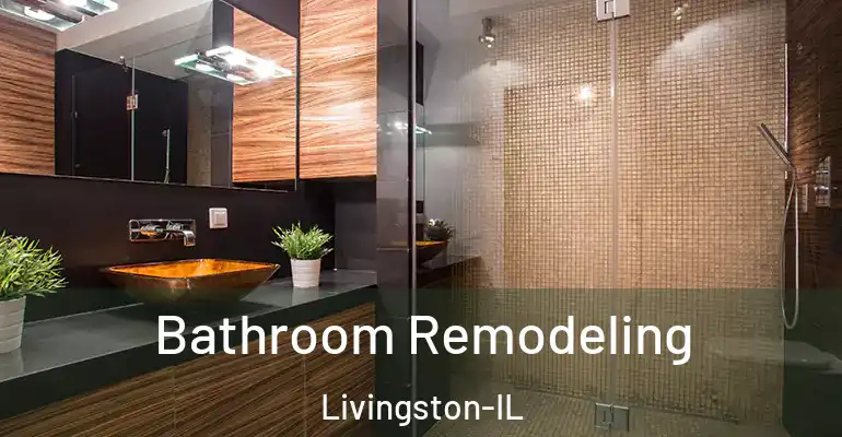 inner Bathroom imggen Bathroom Remodeling Livingston-IL