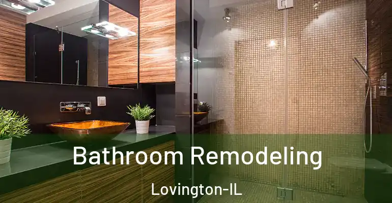 inner Bathroom imggen Bathroom Remodeling Lovington-IL