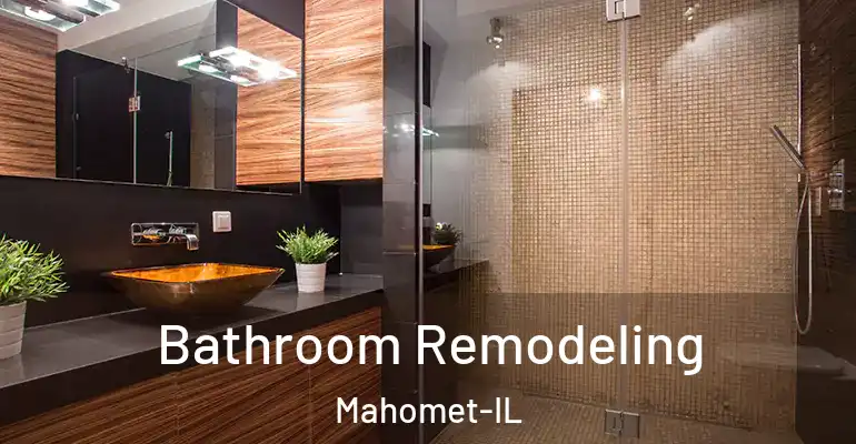 inner Bathroom imggen Bathroom Remodeling Mahomet-IL