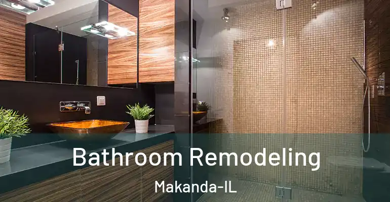 inner Bathroom imggen Bathroom Remodeling Makanda-IL