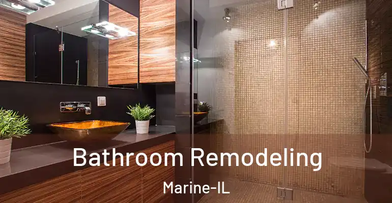 inner Bathroom imggen Bathroom Remodeling Marine-IL