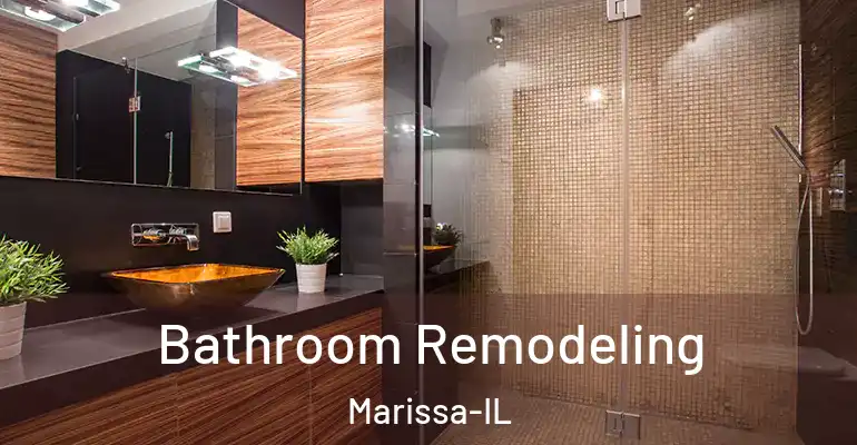 inner Bathroom imggen Bathroom Remodeling Marissa-IL