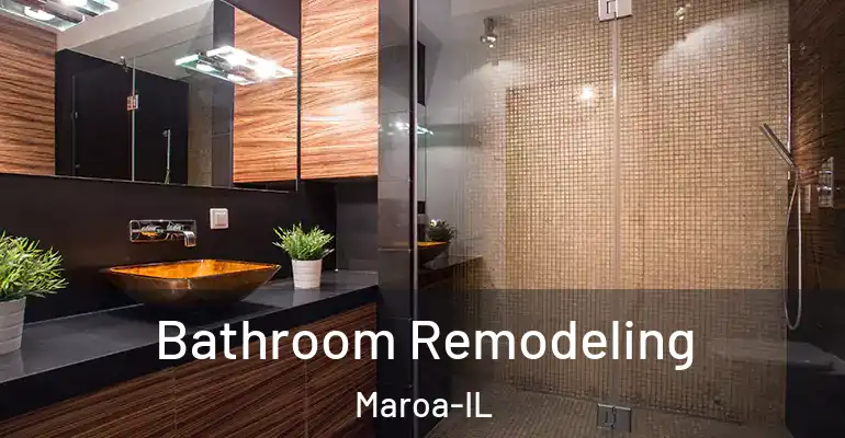 inner Bathroom imggen Bathroom Remodeling Maroa-IL