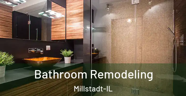 inner Bathroom imggen Bathroom Remodeling Millstadt-IL