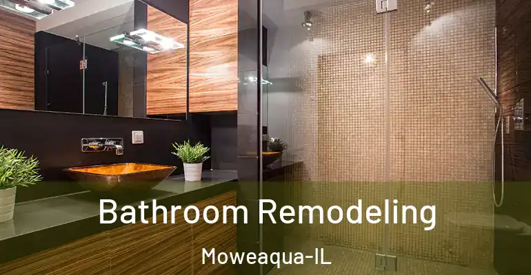inner Bathroom imggen Bathroom Remodeling Moweaqua-IL