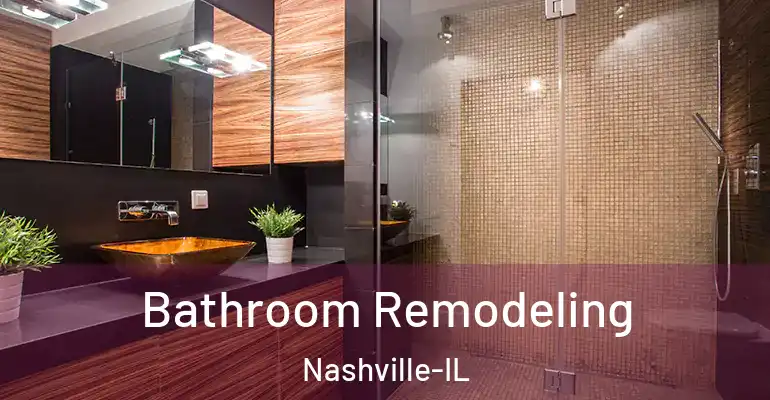 inner Bathroom imggen Bathroom Remodeling Nashville-IL