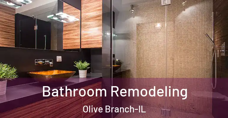 inner Bathroom imggen Bathroom Remodeling Olive Branch-IL