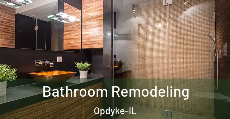 inner Bathroom imggen Bathroom Remodeling Opdyke-IL