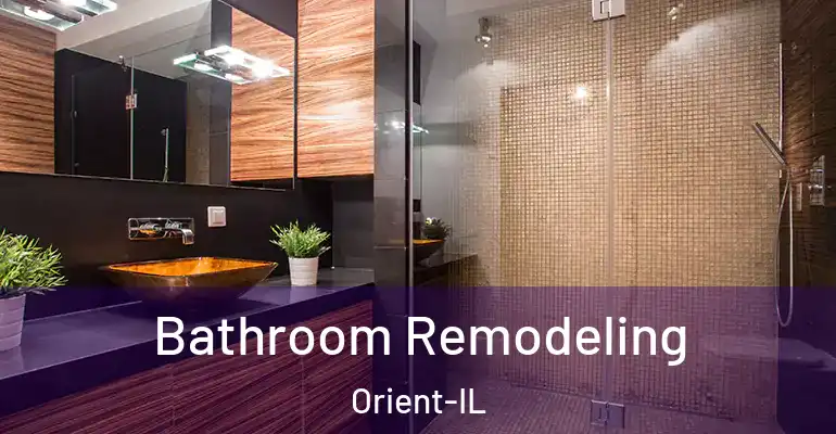 inner Bathroom imggen Bathroom Remodeling Orient-IL