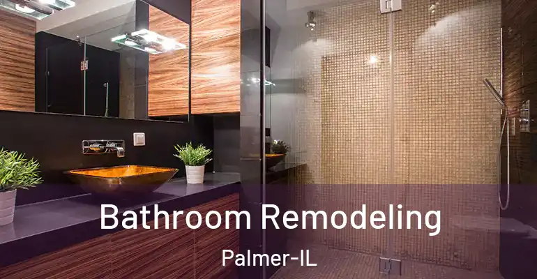 inner Bathroom imggen Bathroom Remodeling Palmer-IL