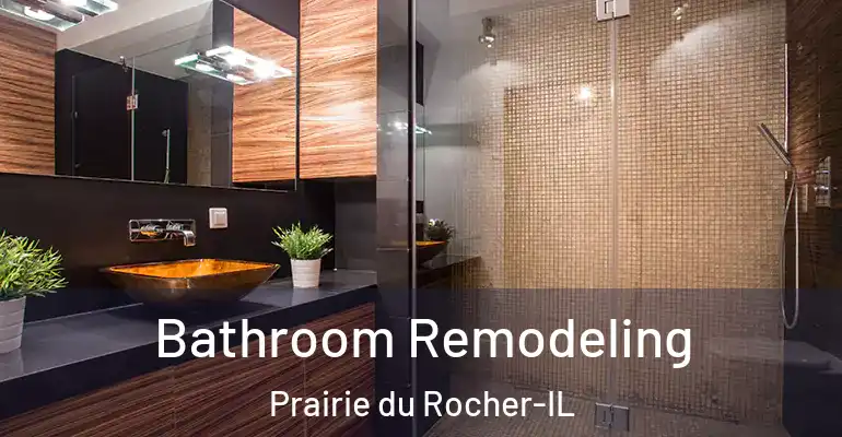 inner Bathroom imggen Bathroom Remodeling Prairie du Rocher-IL