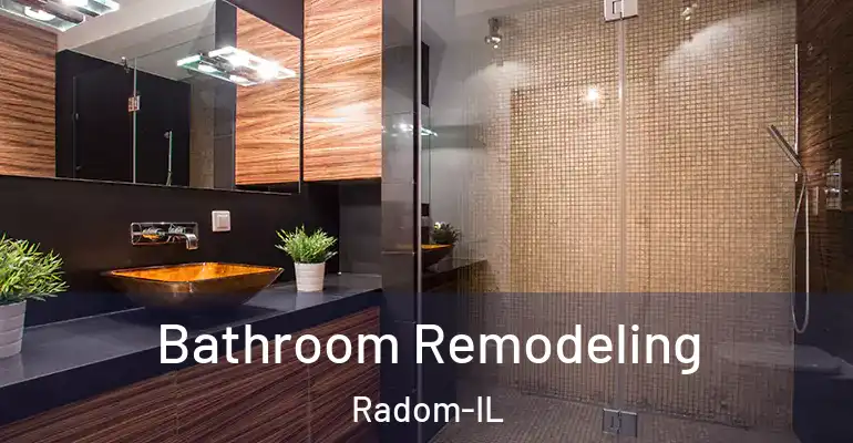 inner Bathroom imggen Bathroom Remodeling Radom-IL