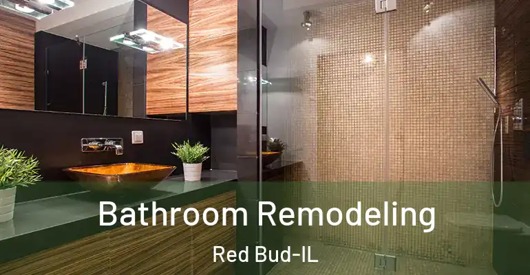 inner Bathroom imggen Bathroom Remodeling Red Bud-IL