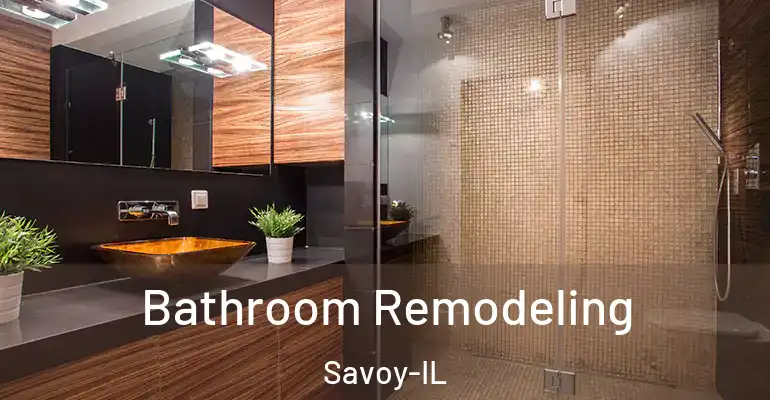 inner Bathroom imggen Bathroom Remodeling Savoy-IL