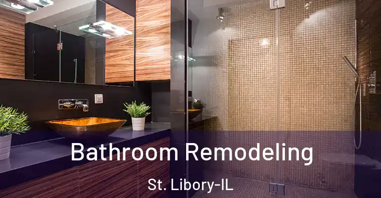 inner Bathroom imggen Bathroom Remodeling St. Libory-IL