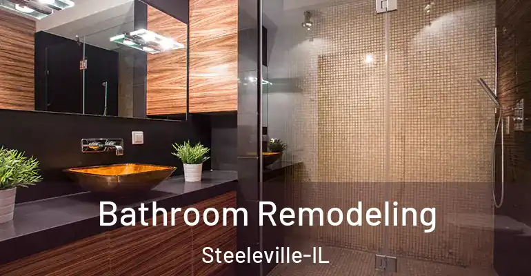 inner Bathroom imggen Bathroom Remodeling Steeleville-IL