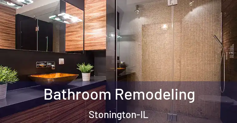 inner Bathroom imggen Bathroom Remodeling Stonington-IL