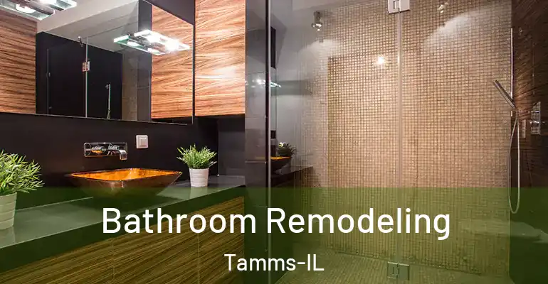 inner Bathroom imggen Bathroom Remodeling Tamms-IL