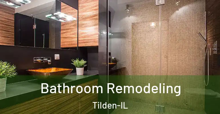inner Bathroom imggen Bathroom Remodeling Tilden-IL