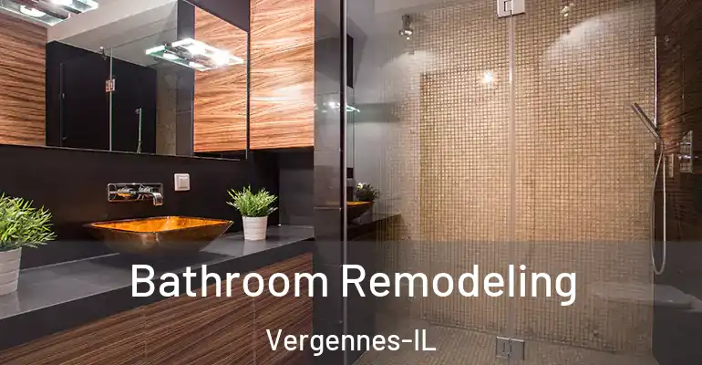 inner Bathroom imggen Bathroom Remodeling Vergennes-IL