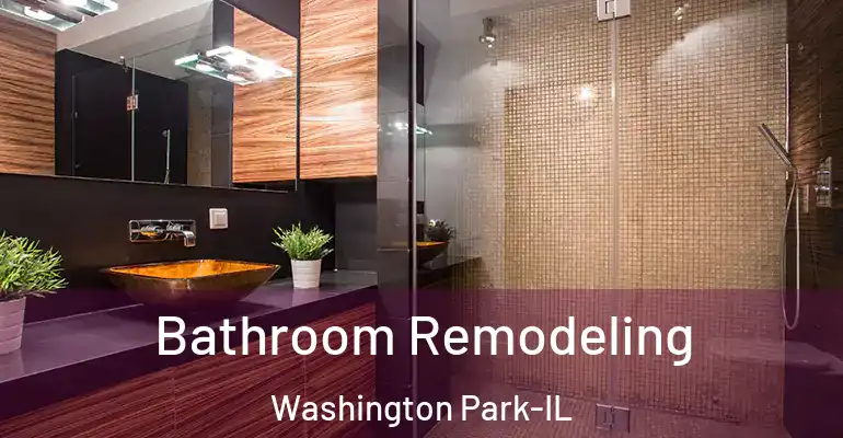inner Bathroom imggen Bathroom Remodeling Washington Park-IL