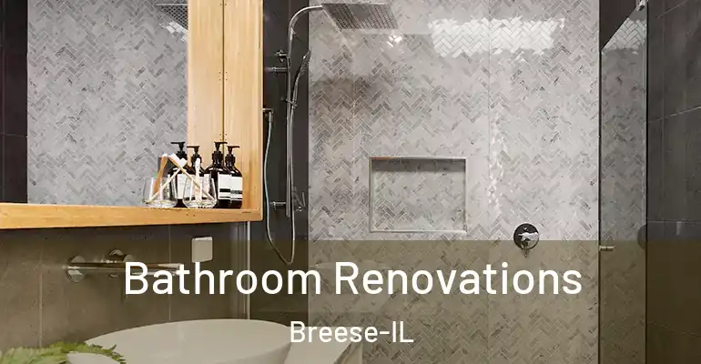 inner Bathroom imggen Bathroom Renovations Breese-IL